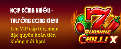 Khám Phá Thế Giới Casino